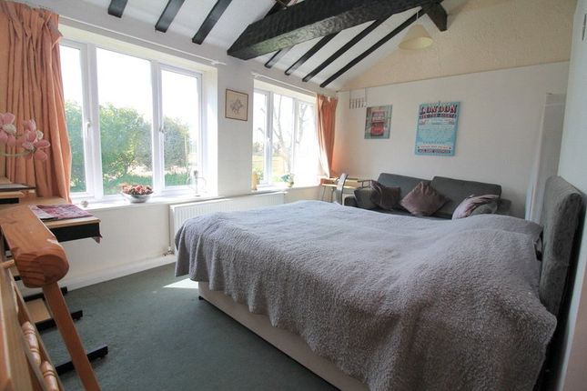 Room 5,, The Minstrels Gallery, Lancing photo 3