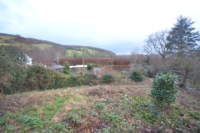 Scalaria, Capel Bangor photo 2