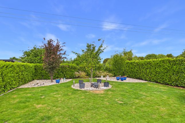 46a, Mill Road, King's Lynn photo 3
