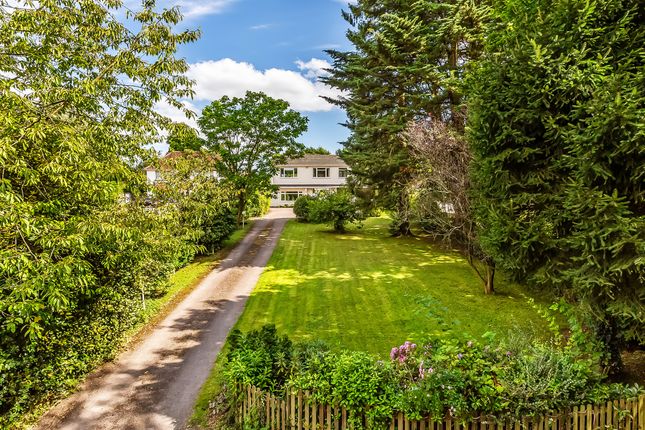 Wayback Ricketts Hill Road, Westerham photo 2