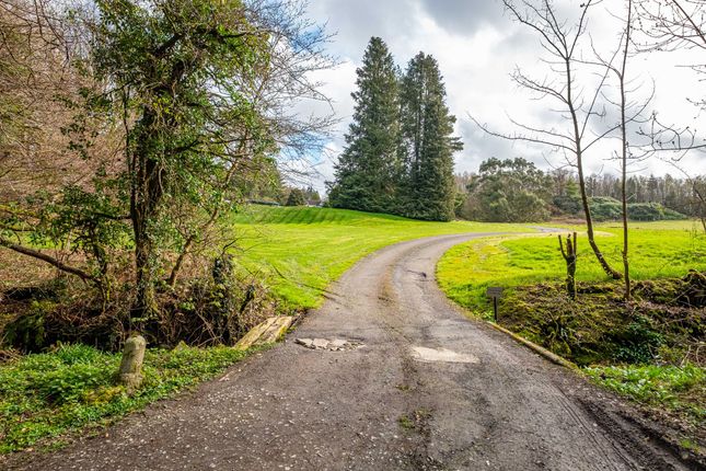 Caravan Bieldwood Croft, Castle Douglas photo 4