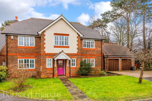 Thumbnail Detached house for sale in Bannow Close, Epsom