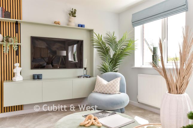 Plot 6, Sword Street, Worthing photo 3