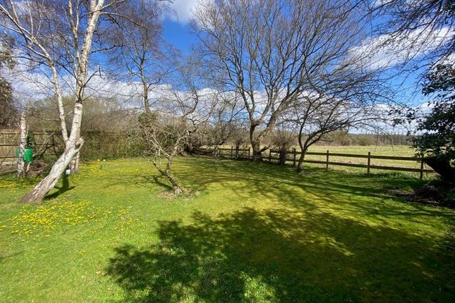 Enclosed Rear Garden