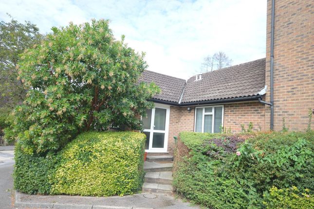 Thumbnail Bungalow to rent in Barnhouse Close, Pulborough
