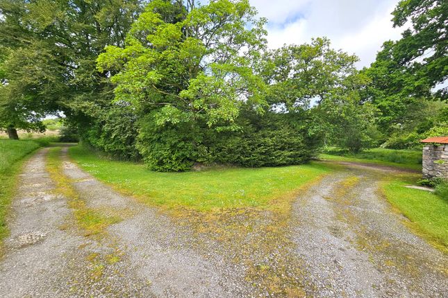 Franco Farm, Horrabridge, Yelverton photo 4