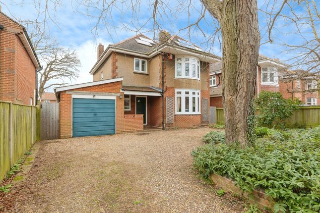 Thumbnail Detached house for sale in Ipswich Grove, Norwich
