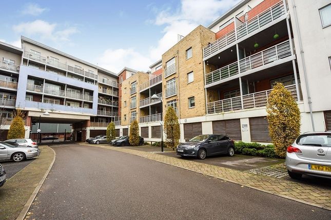 Thumbnail Flat to rent in Kingfisher Meadow, Maidstone, Kent
