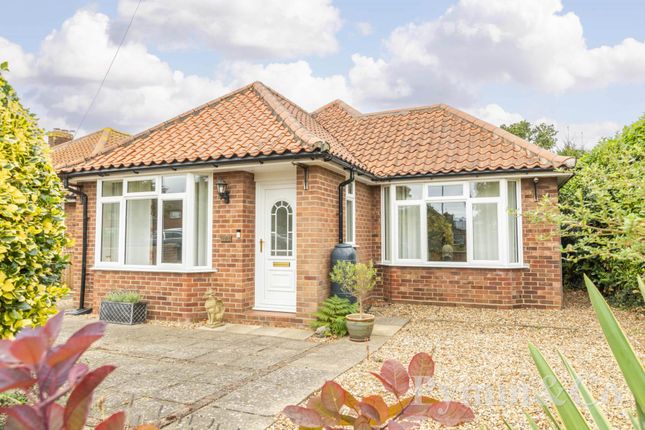 Thumbnail Detached bungalow for sale in North Walsham Road, Norwich