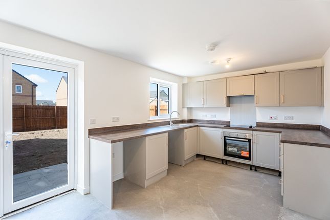 Plot 74, Milford, Tulip Fields, Spalding photo 4