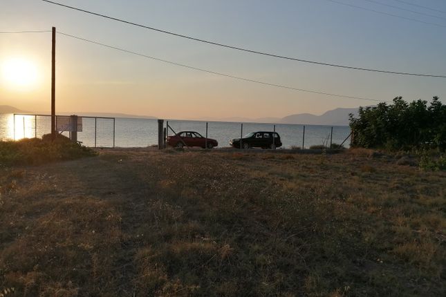 Land for sale in Drosia 341 00, Greece