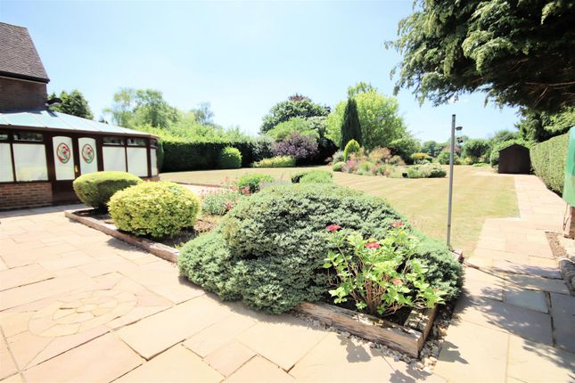 View Of Rear Gardens