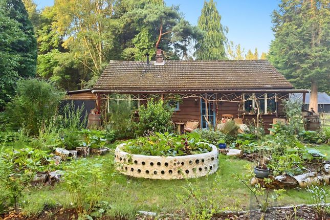 Prickly Nut Cottage, Gainsborough photo 2