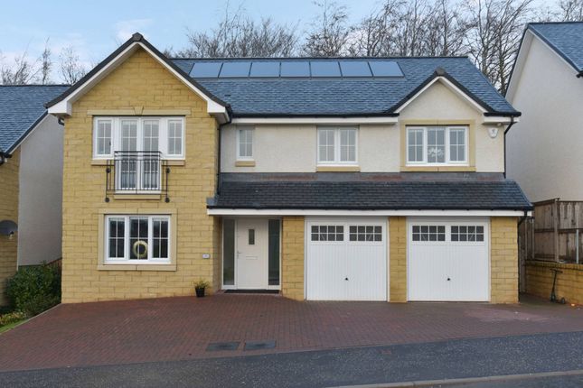 Thumbnail Detached house for sale in Stagg Park, Dalkeith, Midlothian