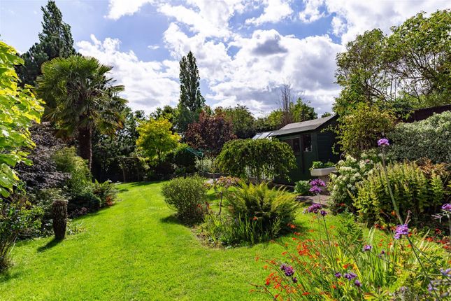 Detached bungalow for sale in Bridge Hill, Epping