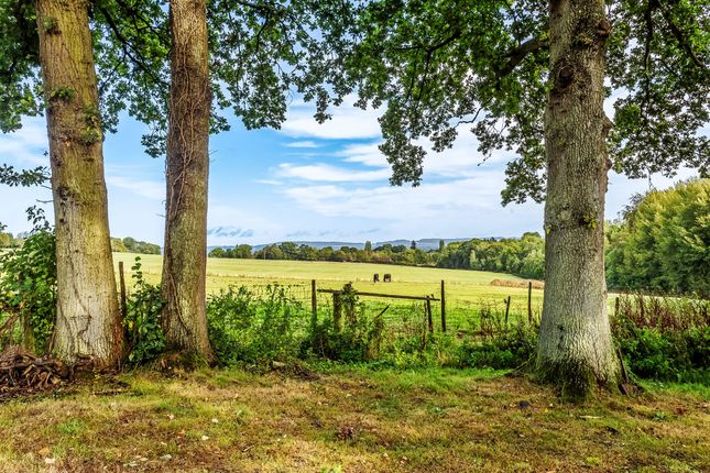 Land for sale in Freeways Plot, Stick Hill, Edenbridge