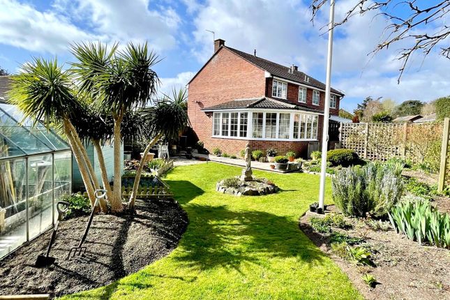 8, Mountbatten Close, Burnham-On-Sea photo 4