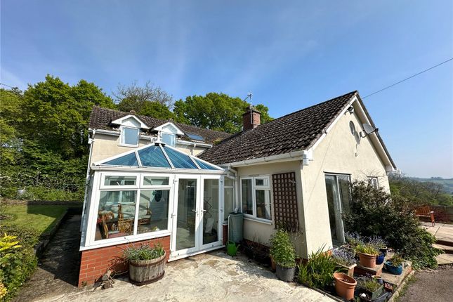 Detached house to rent in Old Taunton Road, Dalwood, Axminster, East Devon