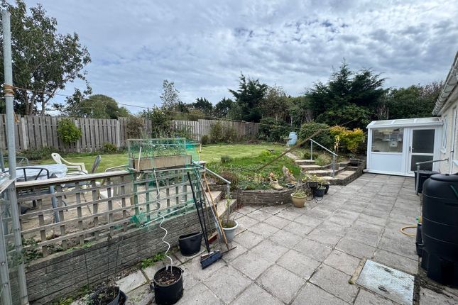 Westerlea, New Quay photo 4