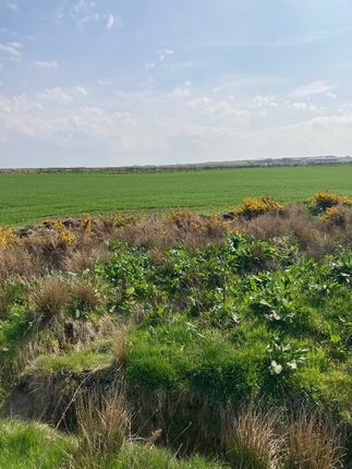 Land for sale in Rattar, Scarfskerry