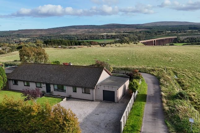 4 Bedroom Bungalow in IV2 5EE