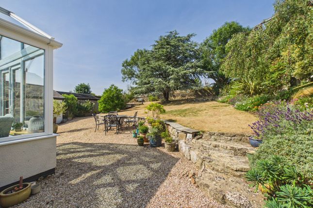 Panorama, Bleadon Hill, Weston-Super-Mare photo 4