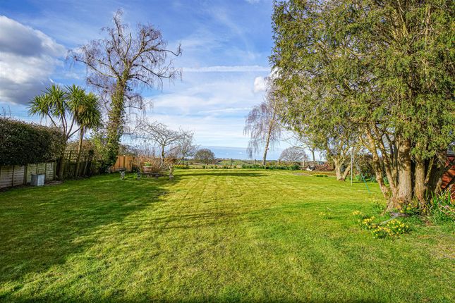 Place Cottage, Main Road, Winchelsea photo 2