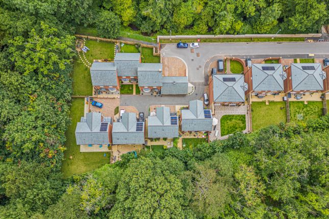 Drone Shot