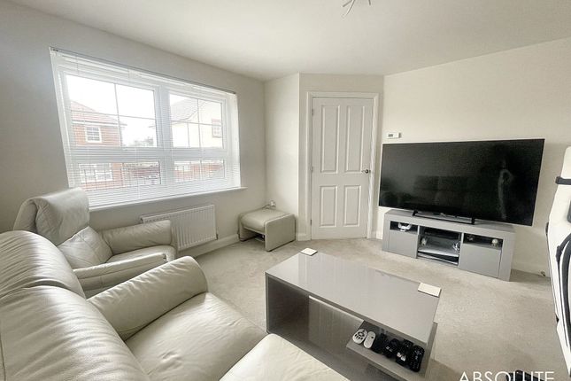 17 Hollyberry Road, Paignton photo 4