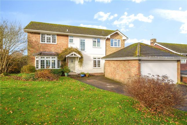 Thumbnail Detached house for sale in St. Michaels Close, North Waltham, Hampshire