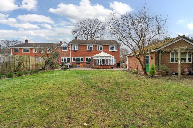 Detached house for sale in Birchland Close, Mortimer West End, Reading, Berkshire