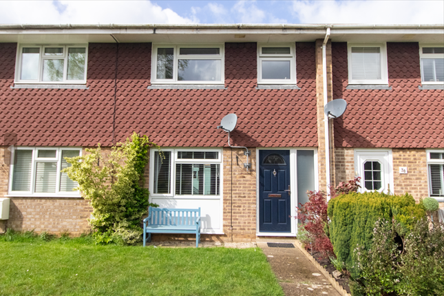 Thumbnail Terraced house to rent in Paddocks Mead, Woking