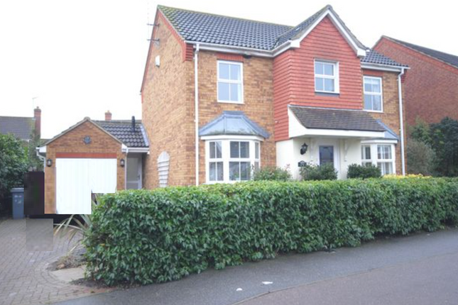Thumbnail Detached house to rent in Waterson Vale, Chelmsford