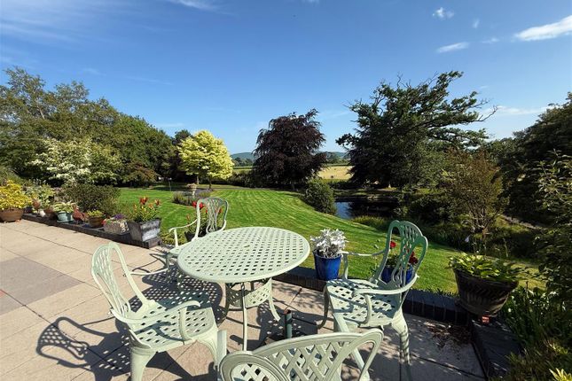 New Garden Photo 1.Jpg