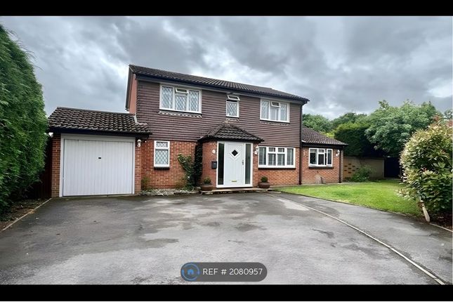 Thumbnail Detached house to rent in Thirlmere Close, Egham