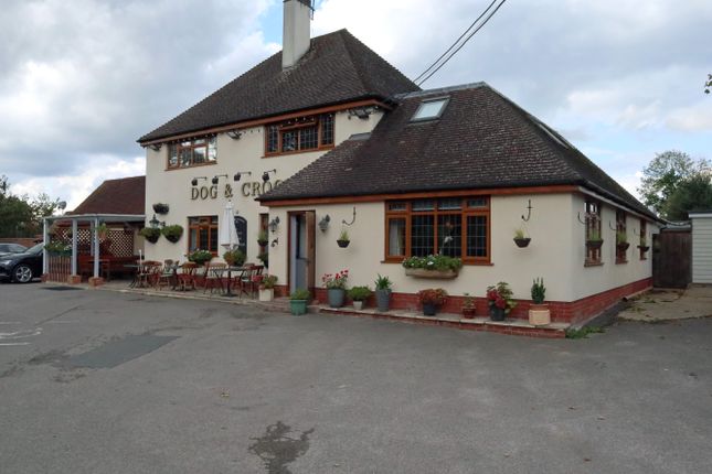 Thumbnail Pub/bar for sale in Crook Hill, Romsey