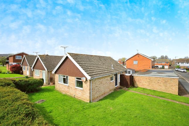 Thumbnail Detached bungalow for sale in Spruce Close, Eastbourne
