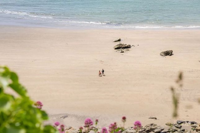 Freathy Beach