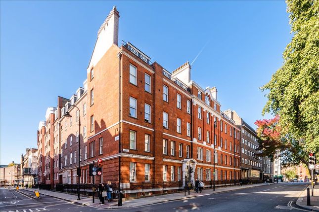 Thumbnail Studio to rent in Albany House, Judd Street, Bloomsbury, London