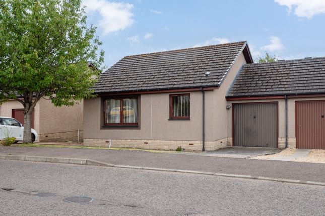 Thumbnail Bungalow for sale in Gowan Rigg, Forfar, Angus