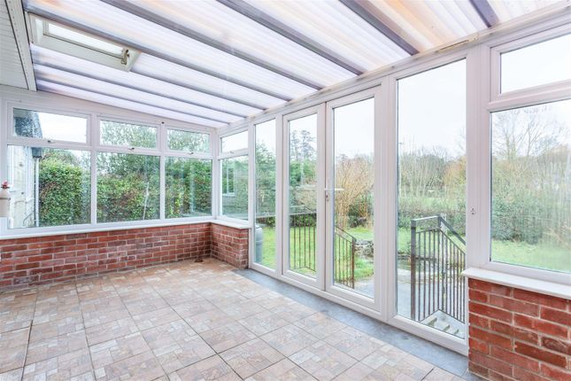 13, Nursery Gardens, Bridport photo 3