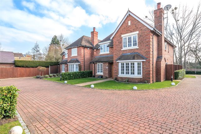 Thumbnail Detached house for sale in Homelands, North Street, Winkfield, Windsor