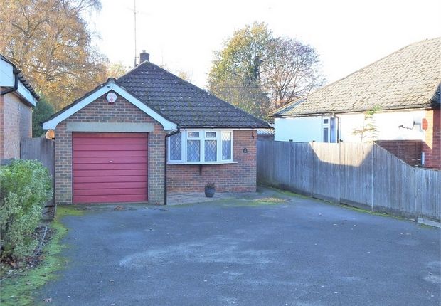 Thumbnail Detached bungalow for sale in Coleford Bridge Road, Mytchett, Camberley, Surrey