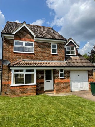 Thumbnail Detached house to rent in Langstone Close, Maidenbower, Crawley