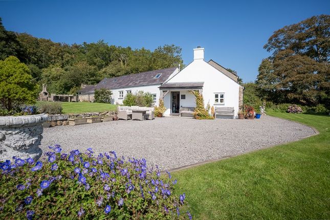 Nyth Cacwn Farm, Pwllheli photo 2