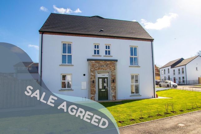 Thumbnail Semi-detached house for sale in The Carnation, The Hillocks, Londonderry