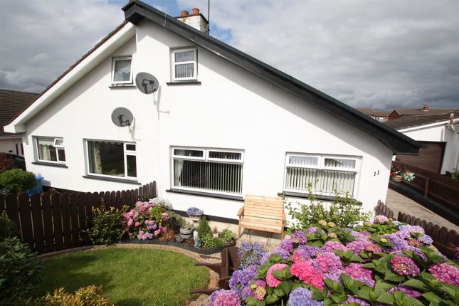 Thumbnail Semi-detached bungalow for sale in Craigs Road, Ballynahinch