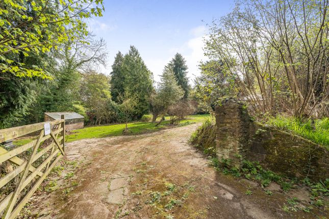 Thumbnail Detached house for sale in Shere, Guildford, Surrey