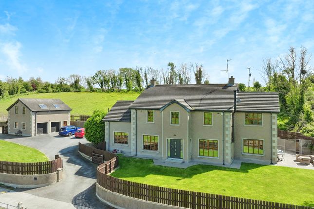 Thumbnail Detached house for sale in Annadorn Road, Downpatrick