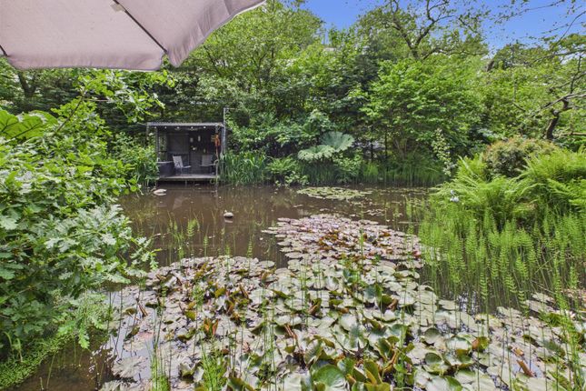 Loud Water, Cwmfelin Boeth, Whitland photo 3